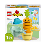 10981 - Lego - DUPLO My First - Una carota che cresce