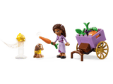43223 LEGO Disney - Asha nella Città di Rosas