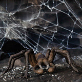 Wizarding World Schliech-S 13987 Aragog