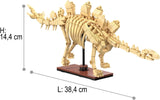 C59012W CaDA Dinosaur Fossils Stegosaurus Scheletro di Stegosauro da Costruire