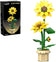 files/61mgjANJh5L._AC_SL1000.jpg