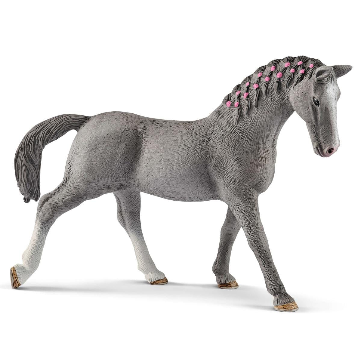 Horse Club Schliech-S 13888 Giumenta Trakehner