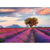 16724 Ravensburger - Campi di lavanda - Puzzle 1000 pezzi