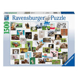 16711 Ravensburger - Collage di Animali divertenti - Puzzle 1500 pezzi
