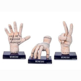 WEN00000 Grandi Giochi - Wednesday: Mano Peluche - Modello casuale