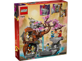 71819 LEGO Ninjago Santuario della pietra del drago