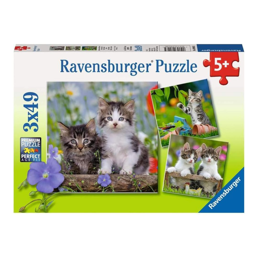 8046 Ravensburger - Gattini - Puzzle 3x49 pezzi