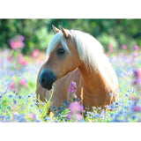 13294 Ravensburger - Cavallo tra i fiori - Puzzle XXL (300 pezzi)