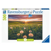 16990 Ravensburger - Denti di leone al tramonto - Puzzle 500 pezzi