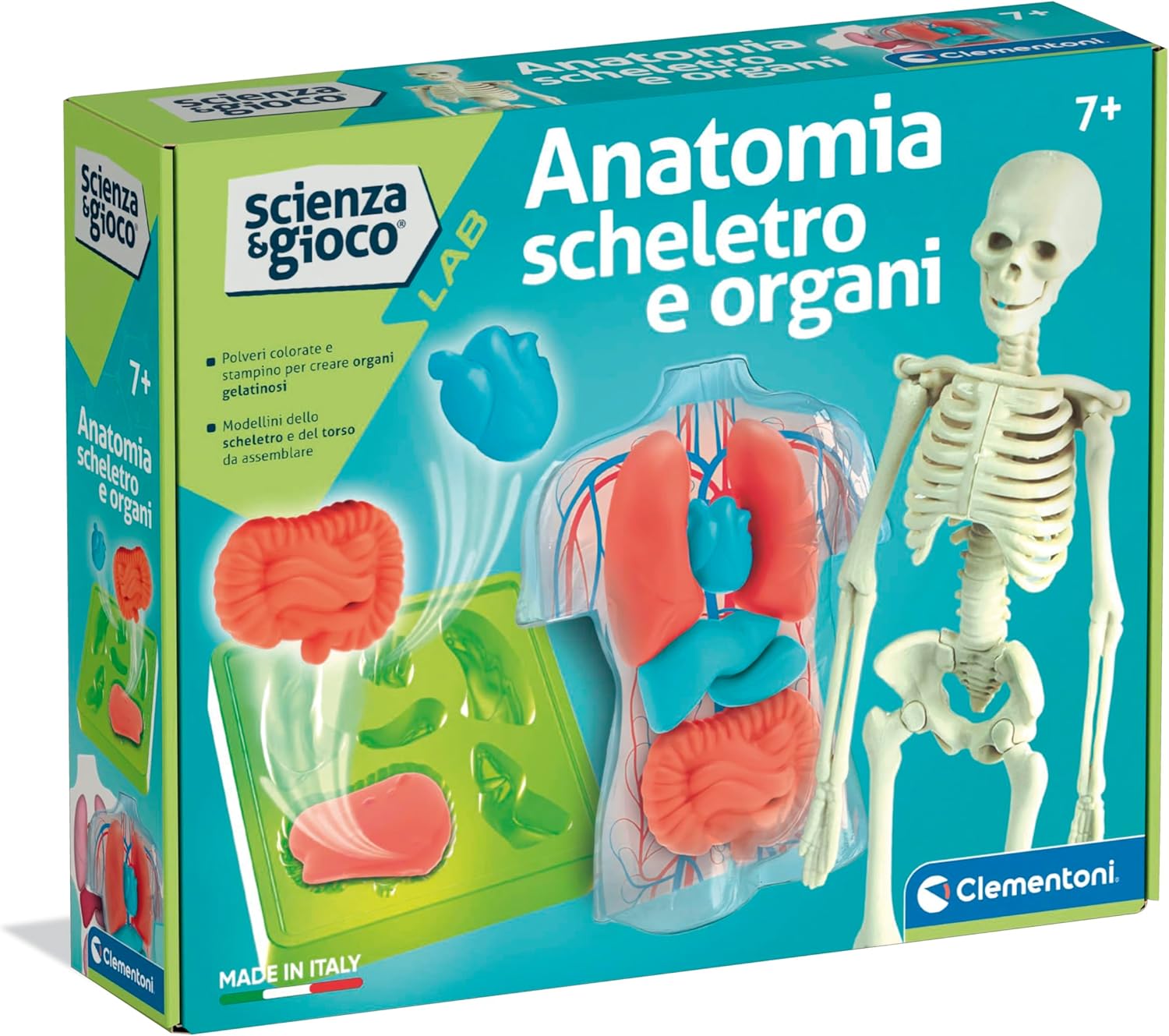 19414.8 Clementoni ANATOMIA SCHELETRO E ORGANI
