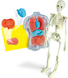 19414.8 Clementoni ANATOMIA SCHELETRO E ORGANI