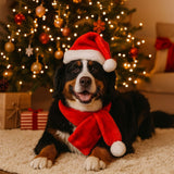 2S Cappellino e Sciarpa Babbo Natale per Cane Costume Natalizio Taglia H24
