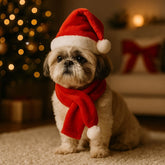 2S Cappellino e Sciarpa Babbo Natale per Cane Costume Natalizio Taglia H24