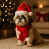2S Cappellino e Sciarpa Babbo Natale per Cane Costume Natalizio Taglia H24