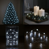 Filo 10 MicroLED Bianco a Batteria Decorazione Luminosa DD20210001