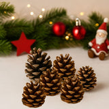 Pigne Naturali Decorazione Natalizia 75 g in Busta DXQ23-003