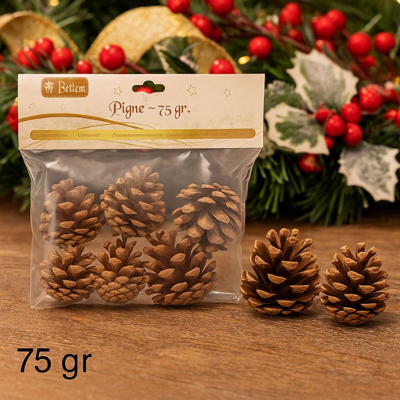 Pigne Naturali Decorazione Natalizia 75 g in Busta DXQ23-003