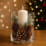 Pigne Naturali Decorazione Natalizia 75 g in Busta DXQ23-003