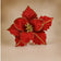 files/magBMaxRosatiWebeGraphicDesignsncdiMassimili_42491-185706-acquista_ora_2.jpg