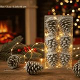 Appendino Pigne Glitterate Argento Set 12 Pezzi Decorazioni Natalizie FL-186