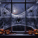 Ragni con Ragnatela 8g Decorazioni Spaventose per Halloween