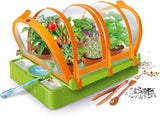 Clementoni Scienza & Gioco La Scienza nella Serra Kit Botanico
