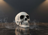 Teschio Decorativo in Plastica 8 cm | Decorazione Halloween Realistica per Casa
