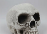 Teschio Decorativo in Plastica 8 cm | Decorazione Halloween Realistica per Casa