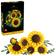 files/magBMaxRosatiWebeGraphicDesignsncdiMassimili_44243-204040-blt1c33118501c8da2f-11502_boxprod_v29.png