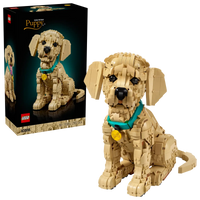 11384 LEGO® Icons Cucciolo di Golden Retriever