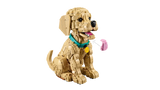 11384 LEGO® Icons Cucciolo di Golden Retriever