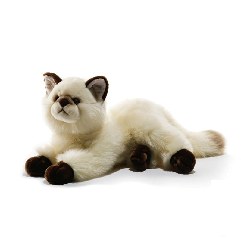 05935 Plush & Company - 'GAUDY' GATTO SIAMESE - L.40 CM.