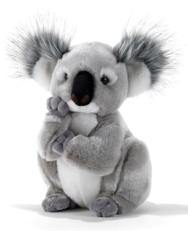 15747 Plush & Company - KOLETTE KOALA - H.28 CM