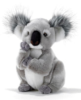 15747 Plush & Company - KOLETTE KOALA - H.28 CM