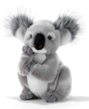 15747 Plush & Company - KOLETTE KOALA - H.28 CM
