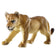 products/magBMaxRosatiWebeGraphicDesignsncdiMassimili_29139-124267-leonessa.jpg