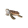 products/magBMaxRosatiWebeGraphicDesignsncdiMassimili_29170-124251-Tartaruga-marina-cucciolo.jpg