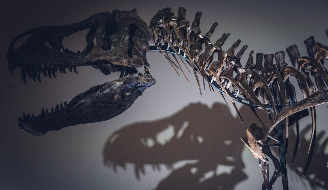 I bambini che amano i dinosauri sono più intelligenti: lo dice la scienza!