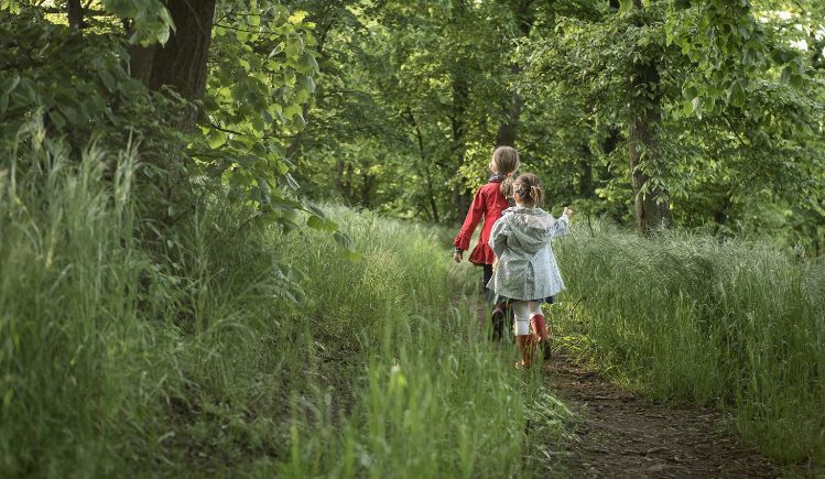 Giocare con la natura: 3 giochi per piccoli scienziati