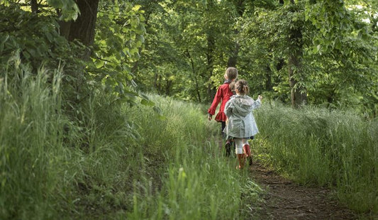 Giocare con la natura: 3 giochi per piccoli scienziati