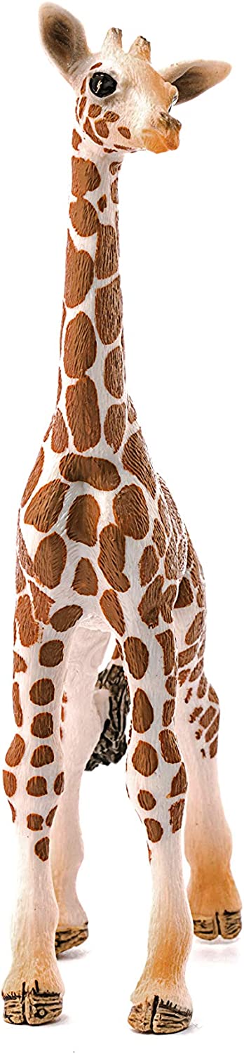 Wild Life Schliech-S 14751 Cucciolo Di Giraffa