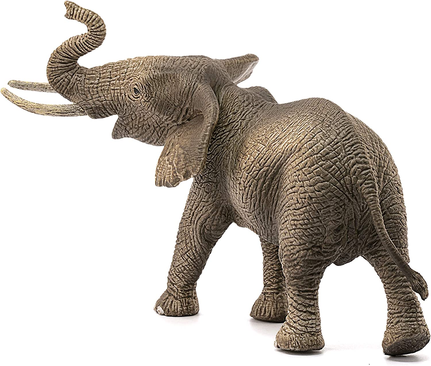 Wild Life Schliech-S 14762 Elefante Africano Maschio