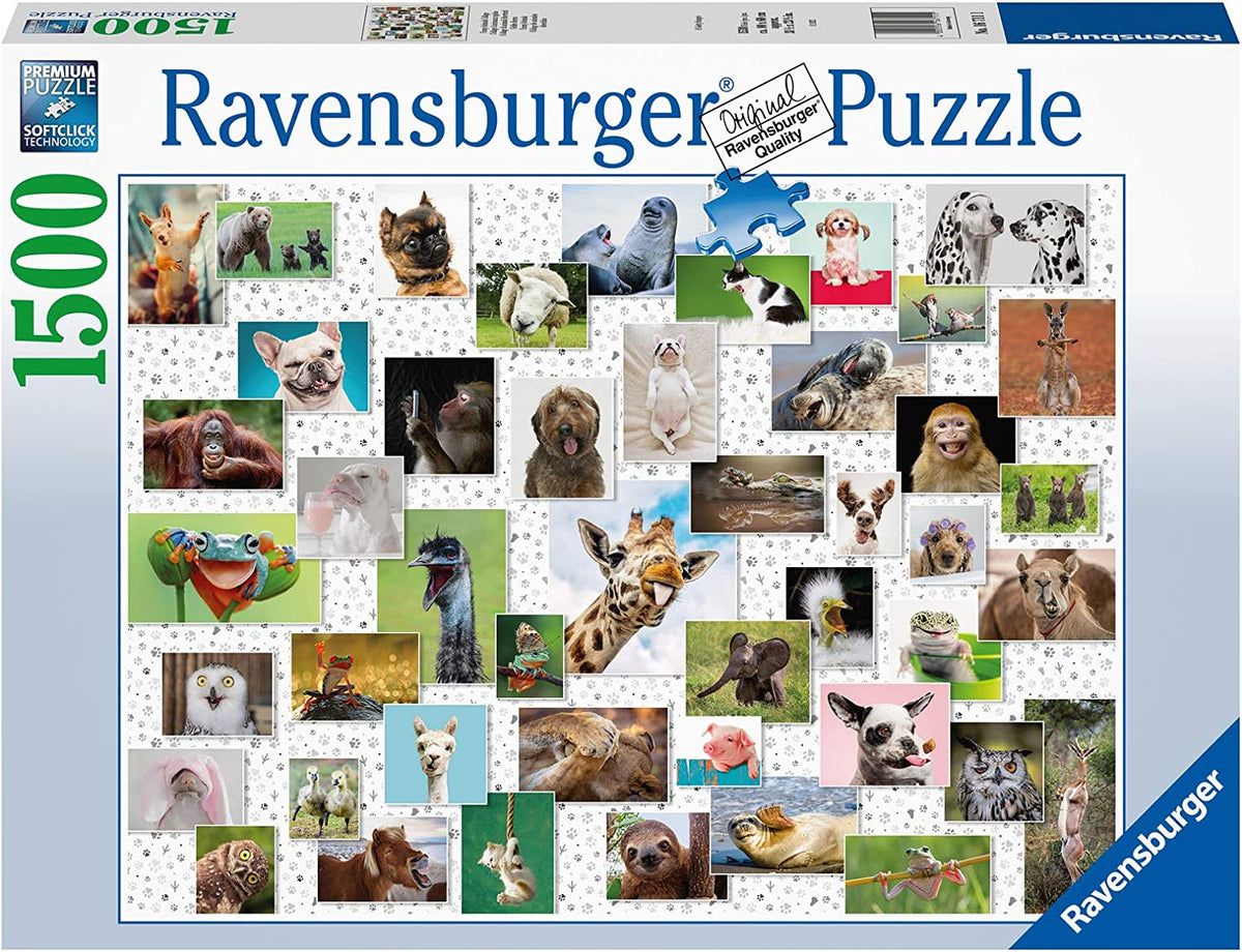 16711 - RAVENSBURGER - Collage di Animali divertenti - 1500 pz - Puzzle