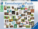 16711 - RAVENSBURGER - Collage di Animali divertenti - 1500 pz - Puzzle