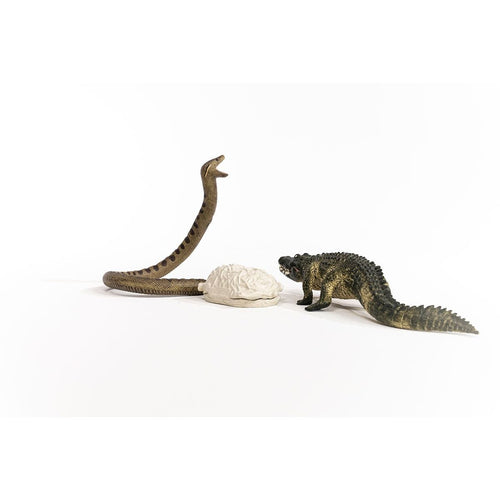 Wild Life Schliech-S 42559 Anaconda E Coccodrillo Della Palude