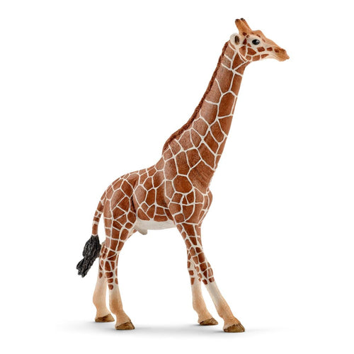 Wild Life Schliech-S 14749 Giraffa Maschio