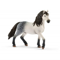 Horse Club Schliech-S 13821 Stallone Andaluso