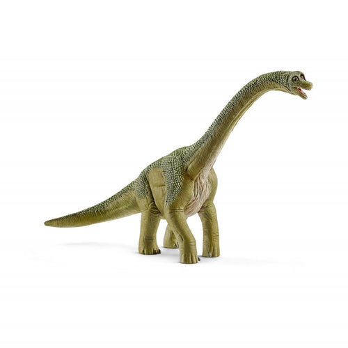 Dinosauri Schliech-S 14581 Brachiosauro