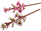 40725 LEGO Botanical Fiori di Ciliegio