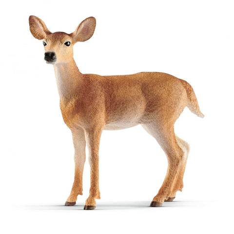14819 Schleich-s - FEMMINA DI CERVO VIRGINIANO